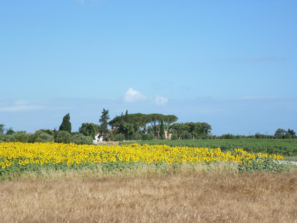 Casa Vacanze Vignarca - Localita Perelli Riotorto Exterior foto
